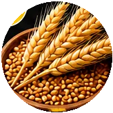 Gluten (Getreide)