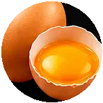 Eier
