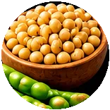 Soja